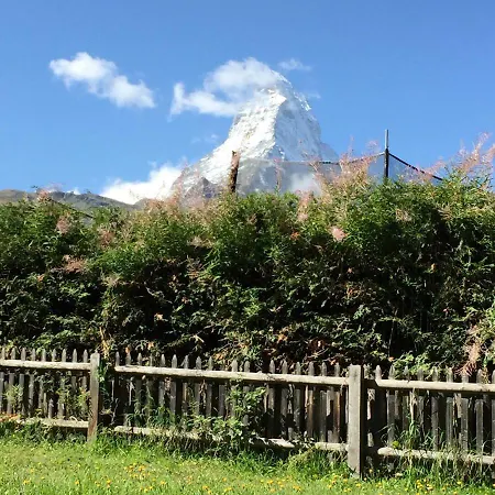 Bahari ツェルマット